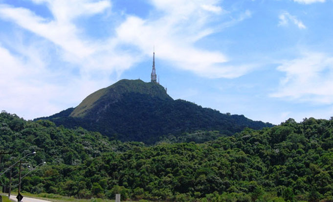 Pico Do Jaraguá Parque Estadual Do Jaraguá Mata Atlântica São Paulo Bairros 0838